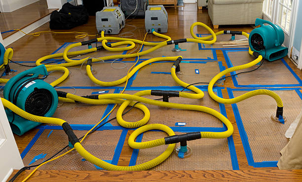 Professional Basement Flood Cleanup technician working in Lewiston, ID